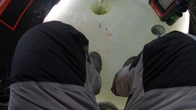 Wisconsin Ice Fishing Whitefish (Grilling On The Ice?) смотреть онлайн