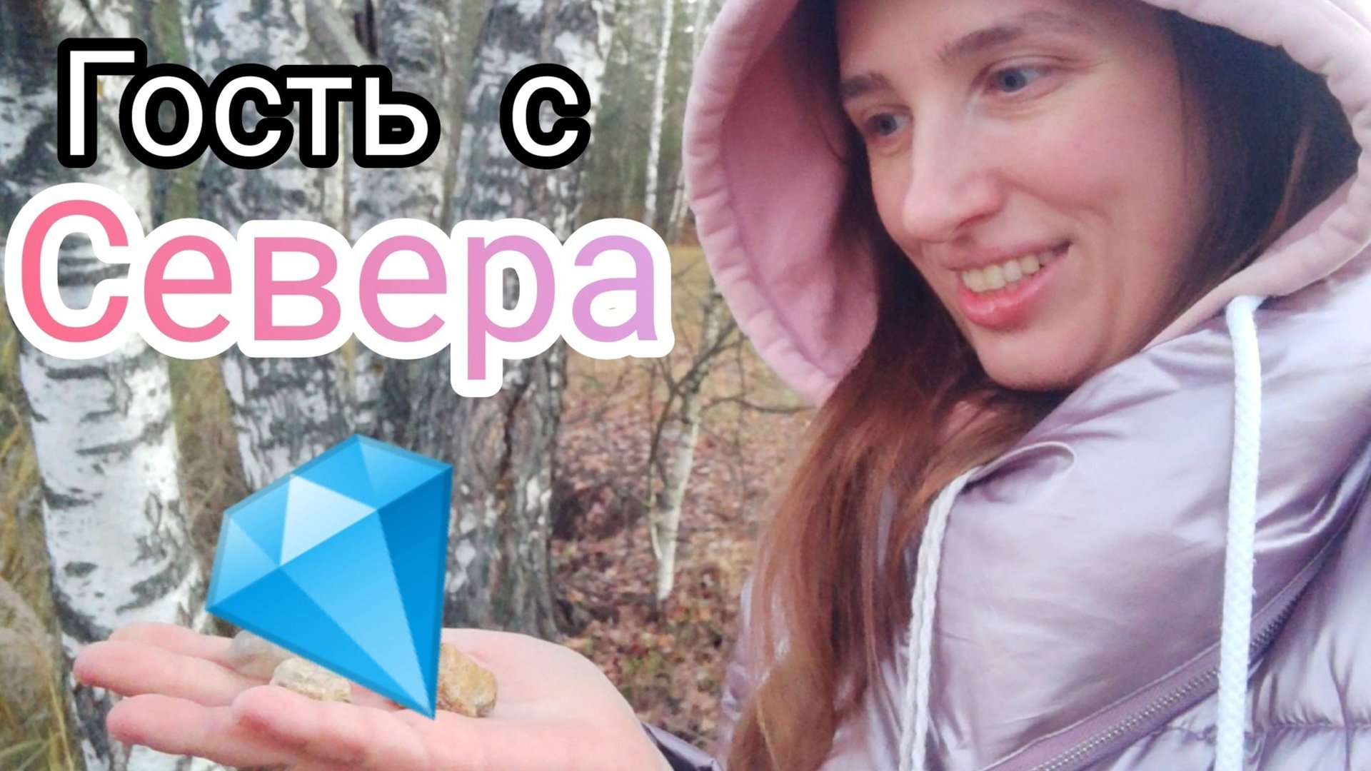 Камни на полях Подмосковья: кремни с окаменелостями, кварцы, гости с Севера. Осенний замёрзший лес смотреть онлайн