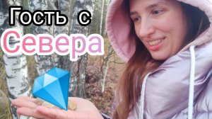 Камни на полях Подмосковья: кремни с окаменелостями, кварцы, гости с Севера. Осенний замёрзший лес