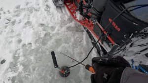 Классная работа зимних удочек TeamDubna Vib Special 67Н. Зимних катушек TeamDubna ChillySun и G2!