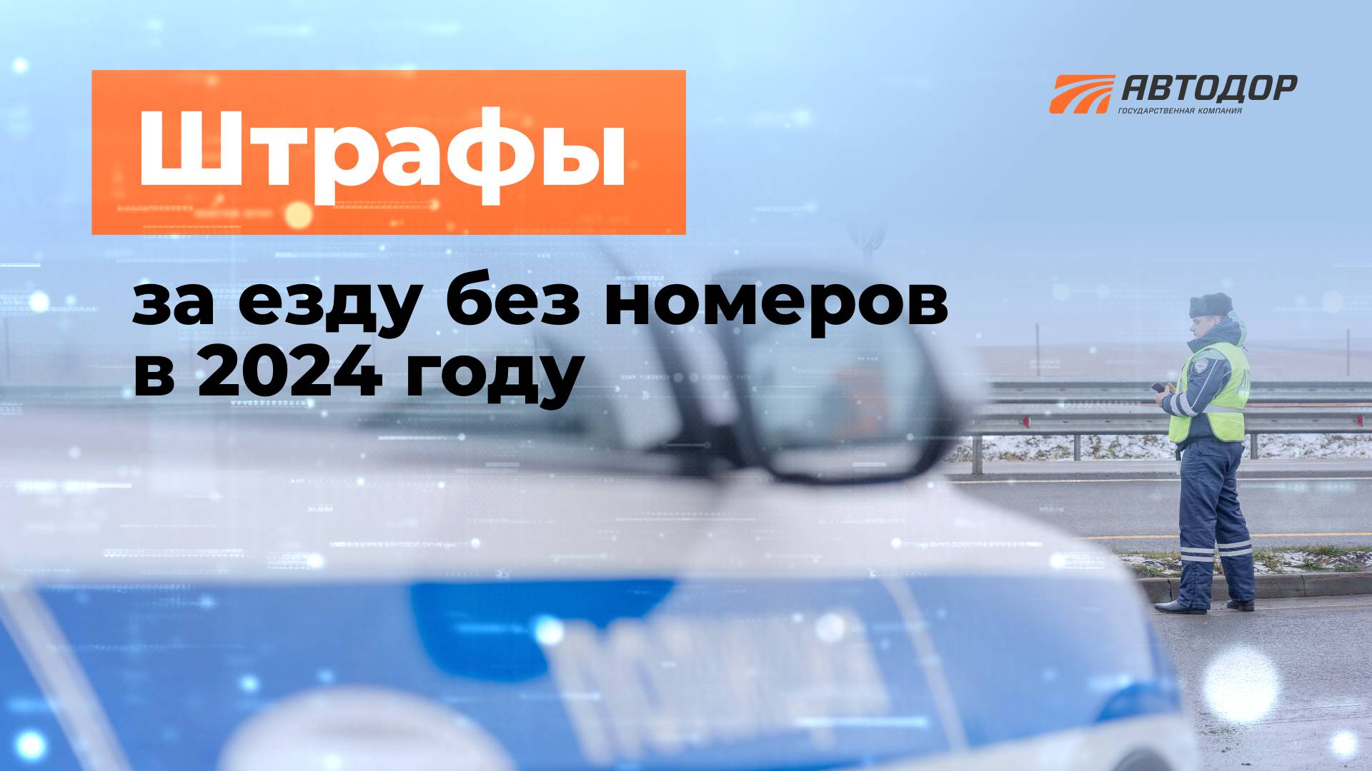 В 2024 году штрафы за скрытые номера получили около 550 водителей