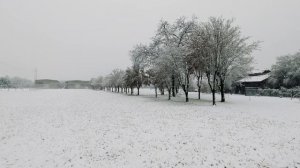 6266593-uhd_3840_2160_30fps