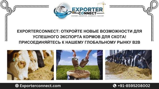Экспортер Корм для скота | Производитель Корм для скота | Поставщик Корм для скота | Exporterconnec