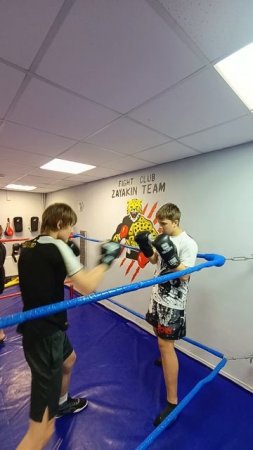 Отработка 🥊🥊🥊 https://t.me/box_zayakinteam