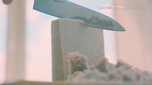 Самое залипательное видео с канала GopherVid
