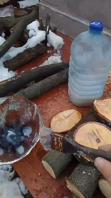 Подготовка к #сушке монеток из конского каштана. #shorts смотреть онлайн