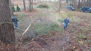 Уборка спила дерева на кладбище Белая Станция.