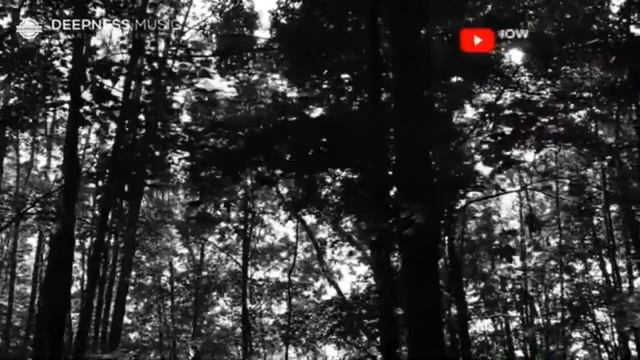 #ЭТИ#ПЕСНИ#ИЩЮТ# #ВСЕ#САМЫЙ#ЛУЧЬШИЙ# #Сборник#2021#топ50#клипов#