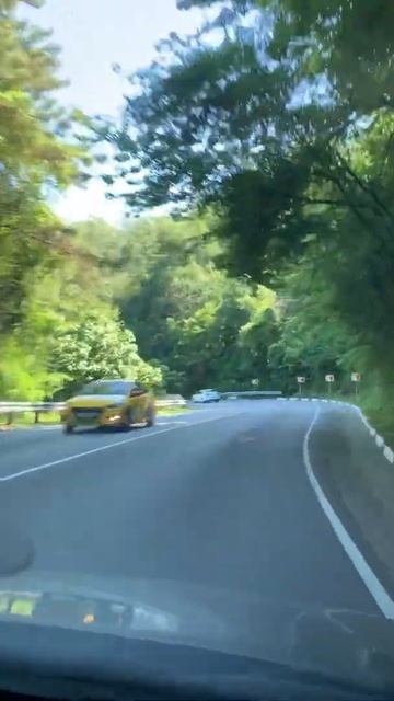 Серпантин, много поворотов на небольшом участке дороги #всочиумаши смотреть онлайн