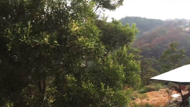 Путешествие по Вьетнаму! Серия 5: Горы Далата смотреть онлайн