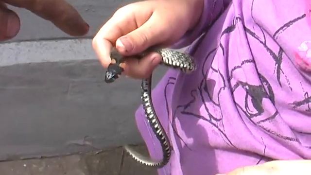 Девочки приручили ужа смотреть онлайн