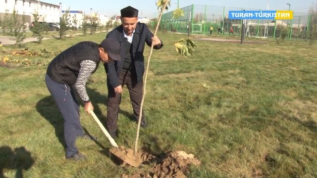 Тұран Түркістан ақпарат Қазыбек би көшесінде жаңа аллея салынып жатыр. смотреть онлайн