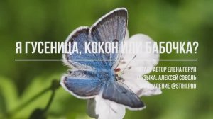 "Я гусеница, кокон или бабочка?", стихи Елены Герун