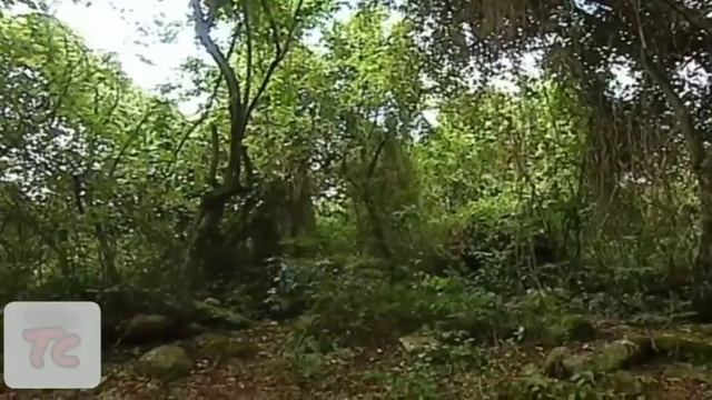 sin senos no hay paraíso capítulo 161 parte 2 смотреть онлайн