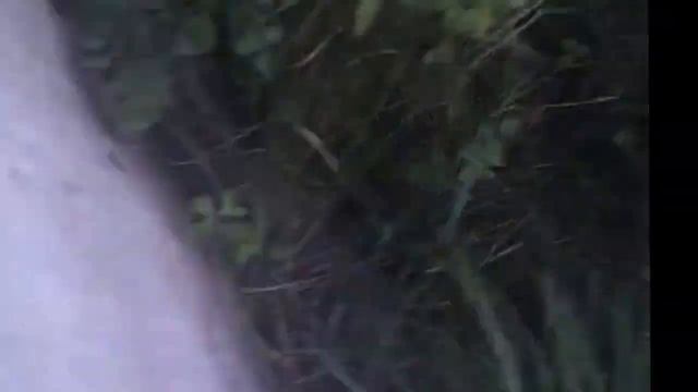 VLOG:Просто Влог