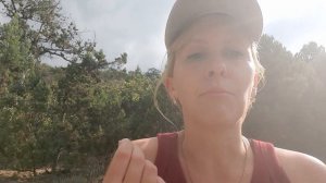 Звук Р. Два варианта "недоделанного" звука: одноударный или раскатистый. Дальнейшее развитие.