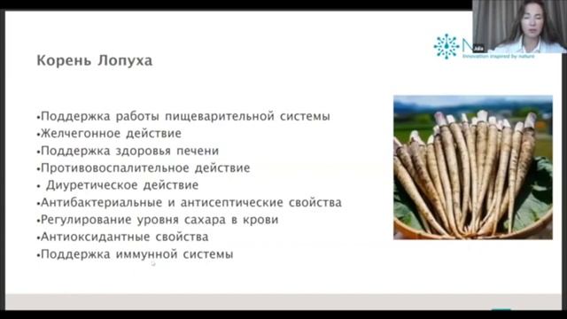 JULIA KOROLEVA PRODUCT NATUIR CLASSIС BG.