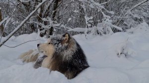 6298716-uhd_3840_2160_24fps