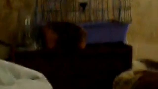 Eiler смотреть онлайн