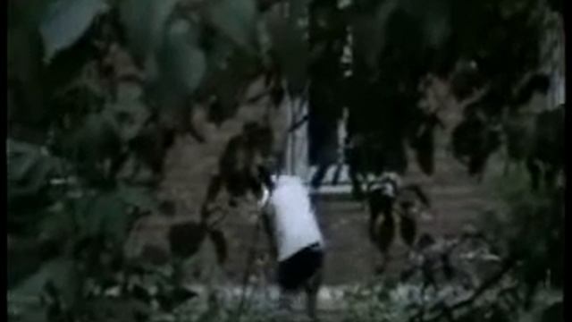 Обыск