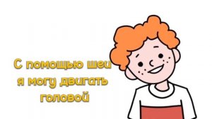 Части тела/ Тело человека