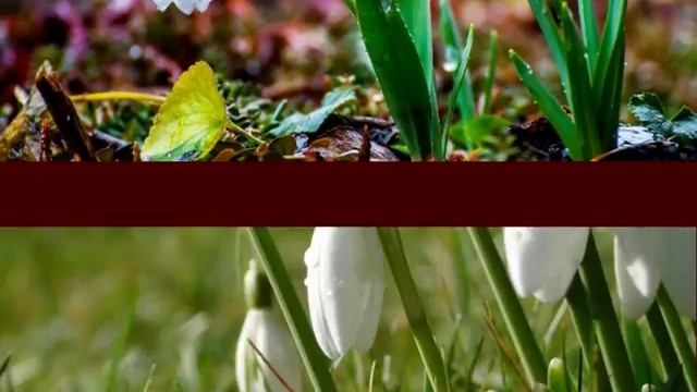 ЛЮБОВЬ ВЕРНЕТСЯ! смотреть онлайн