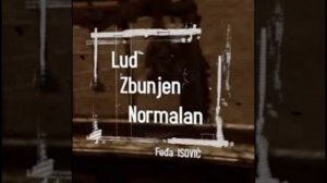 Dejan Nikolovski - Lud zbunjen normalan Instrumental Cover (2025)