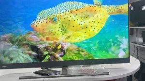 Краткий обзор на телевизор Haier  AX Pro 50