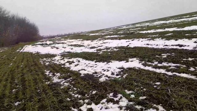 Как красиво, кругом зима, снег, а поле зелёное смотреть онлайн