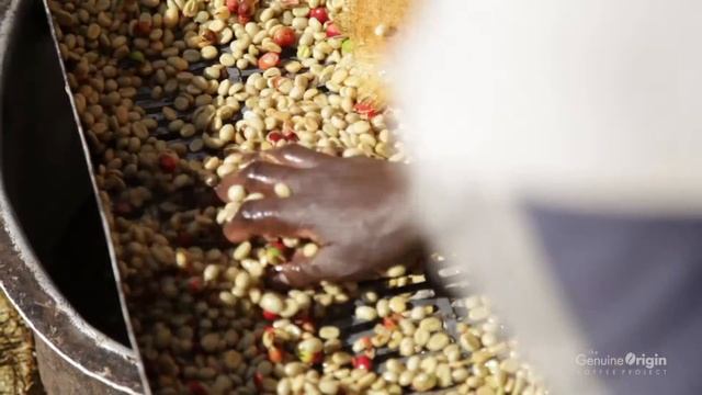 The Genuine Origin Coffee Project | Uganda смотреть онлайн