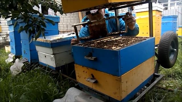 Выпускаю матку с никота смотреть онлайн