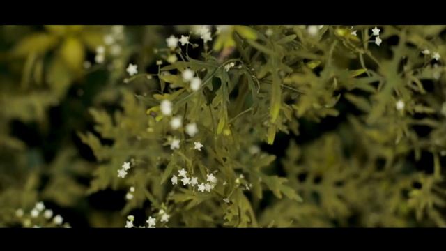 Travel Yoga Retreat | Cinematic video | feat. Gloria Dunwell | Prasun Bhattacharya , Vilas Kachhwah смотреть онлайн