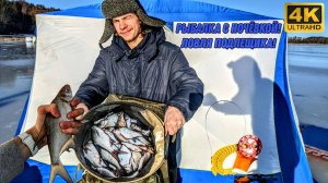 Сначала утопали, потом примёрзли. Рыбалка с ночёвкой в палатке. Истра 2025