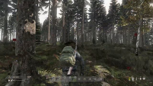 DayZ НАС ЗАРЕЙДИЛИ НАЧИНАЕМ С НУЛЯ..... смотреть онлайн