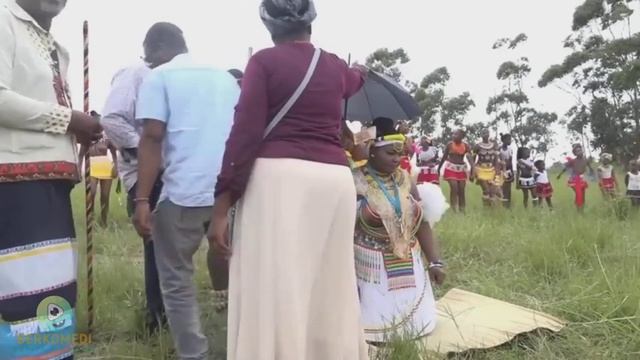 😍 Tradisi Penggemukan Wanita 💃 & Dampak Kesehatan di Nigeria Afrika Barat 🇳🇬 смотреть онлайн