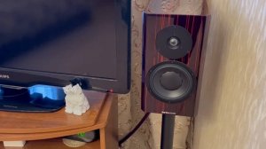Vincent SV 237 + Dynaudio Special Forty(Anniversary)