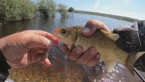 Ловля карася ловля сазана в большую воду