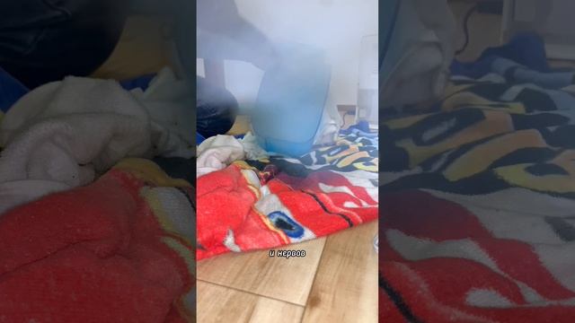 Обзор на пароочиститель