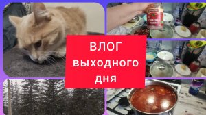 ВОЗОБНОВИЛА РАБОТУ. НАГОТОВИЛА ВКУСНОГО БОРЩА. ДОМАШНИЕ ДЕЛА ПЕРЕД РАБОЧЕЙ СМЕНОЙ