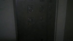 лифт щлз 2009