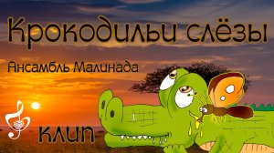 "Крокодильи слёзы", клип,  исполняет Ансамбль Малинада,  #krokodilyi_slyozy, #lidiya_shcherbakova