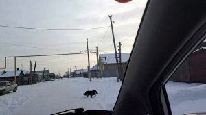 ЧТО в ИТОГЕ ПОЛУЧИЛОСЬ//откуда ТАКИЕ ДЕНЬГИ//у нас ОБНОВКА//ЗАГОТОВОЧКИ ВПРОК