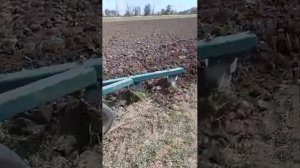видео от покупателя плн 4-30