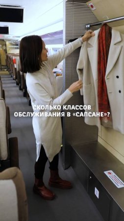 Сколько классов обслуживания в "Сапсане"? #shorts #ржд #сапсан