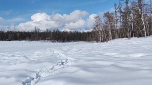 Лончин 20 проблемы только начинаются
