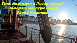 Есть ли МАЗУТ  в Лазаревском? Замеряю температуру моря!  Улица Ушакова!  21.01.2025. ЛАЗАРЕВСКОЕ