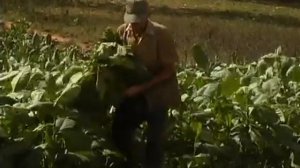 [Золотой глобус] Куба