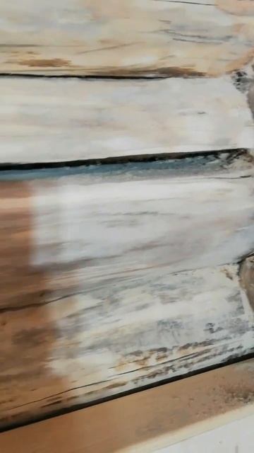 "Супер" рубка срубов😁 #деревянныйдом #домизбревна #домизсруба смотреть онлайн