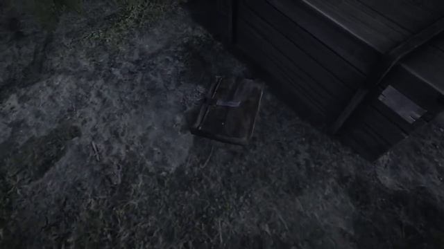 35ММ | Прогулка по лесу | Часть 1 смотреть онлайн