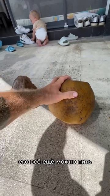 Сколько воды в КОКОСЕ ? 🥥 🌴 #бали #кокосы смотреть онлайн